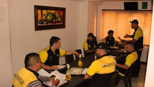 Servicios8 Servicios8